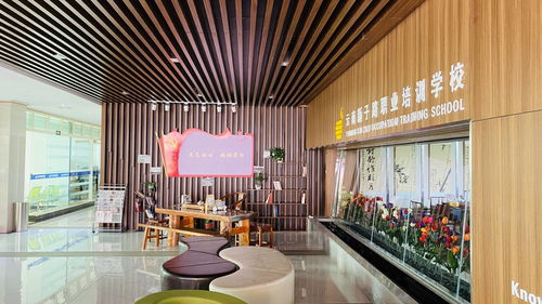 云南新子路職業(yè)培訓(xùn)學(xué)校 榮獲第二批職業(yè)技能等級認(rèn)定資格，深化應(yīng)用與技術(shù)服務(wù)新篇章